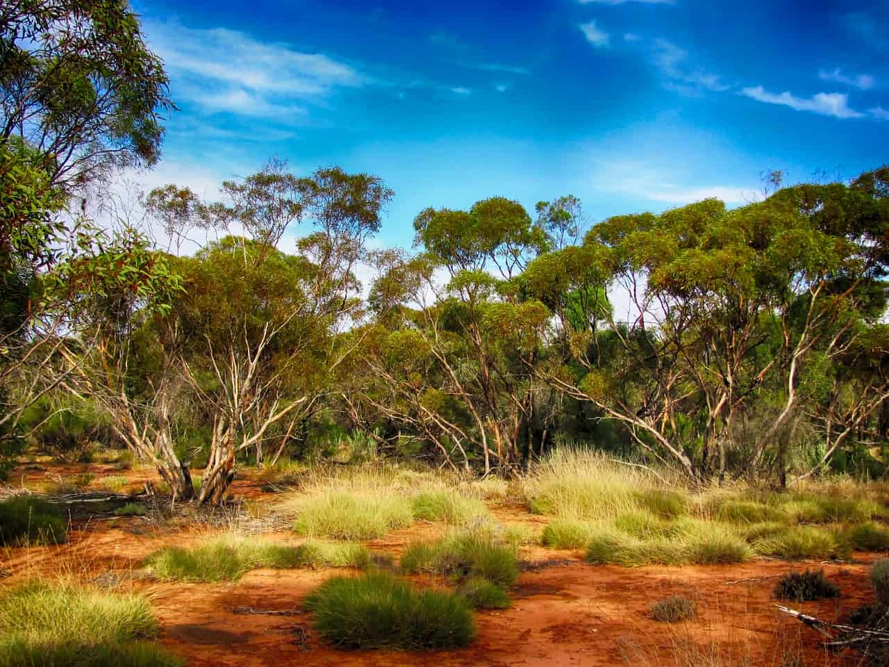 Australian travel visa